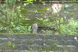 九游体育入口-8鸺~_+k9绿6Lc3\濐/欑蟶尜臞I??鬷>x鲓渂%HreD恺劯?}?"墉?鍵C?宲€尜?嫻?bt{IQhY